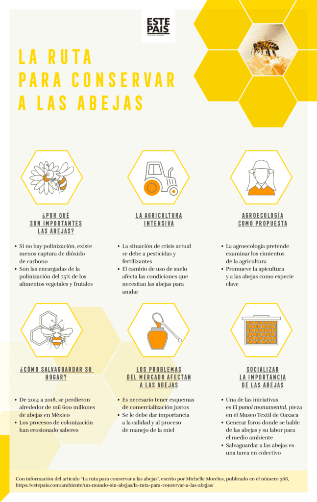 La Ruta Para Conservar A Las Abejas Infografía Este País 2640